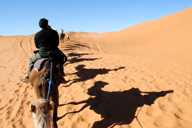 Visit Agadir or Taghazout : Camel Ride in Desert Sand Dunes in Busan, South Korea