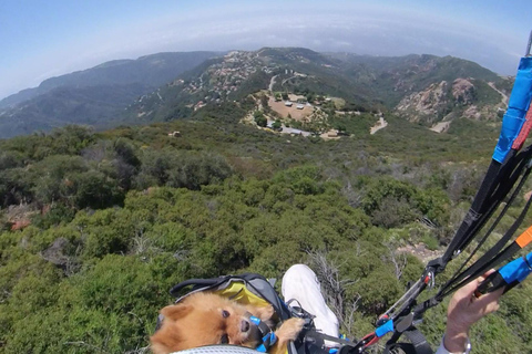 Aventure en parapente tandem entre les collines et la plage de Malibu