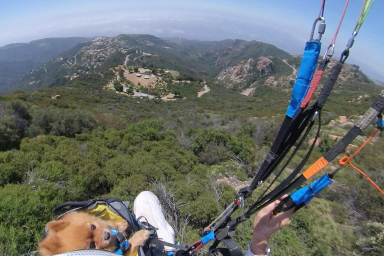 Aventure en parapente tandem entre les collines et la plage de Malibu