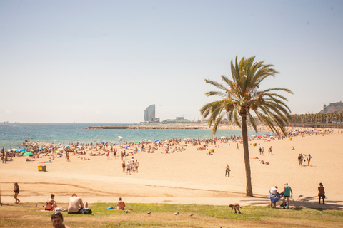 Barcelona Guided Segway Tour 1,5 Hour Guided Segway Tour for Groups