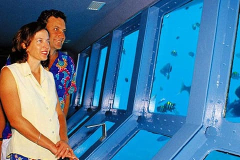 Sharm el-Sheikh: Panoramic Glass Bottom Boat Adventure