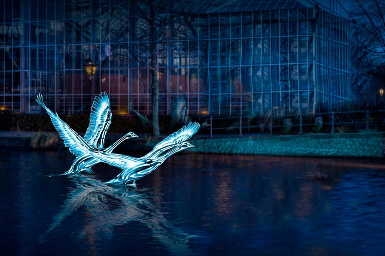 Amsterdam: German-Language Amsterdam Light Festival Cruise Amsterdam Light Festival German Canal Cruise NO DRINKS