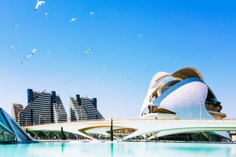 From Benidorm: Guided Day Trip to Valencia
