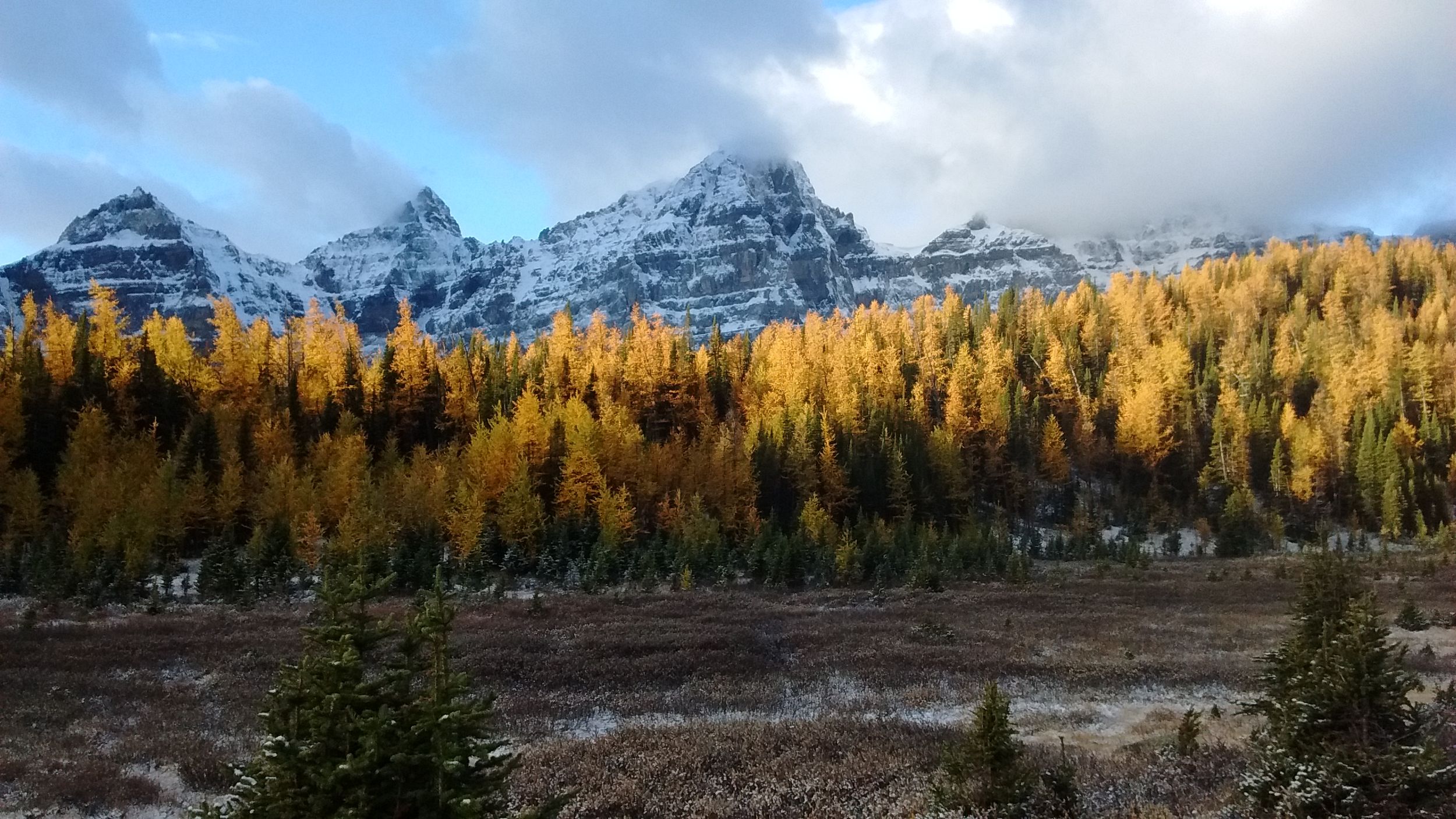 Moraine Lake & Larch Valley Wanderung