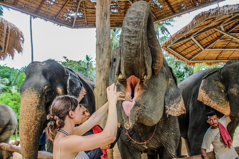 Ab Krabi: Halbtagestour zum Ao Nang Elefanten-SchutzzentrumTour mit Transfer von Ao Nang