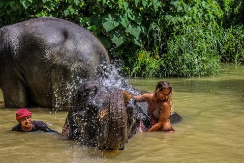 Krabi: halve dagexcursie olifantenreservaat Ao NangExcursie met transfers vanuit Ao Nang