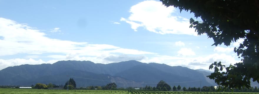 Au départ de Picton : Excursion à terre dans la région viticole de Marlborough