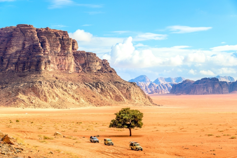 Depuis Aqaba : visite du Wadi Rum de 2 h en jeep