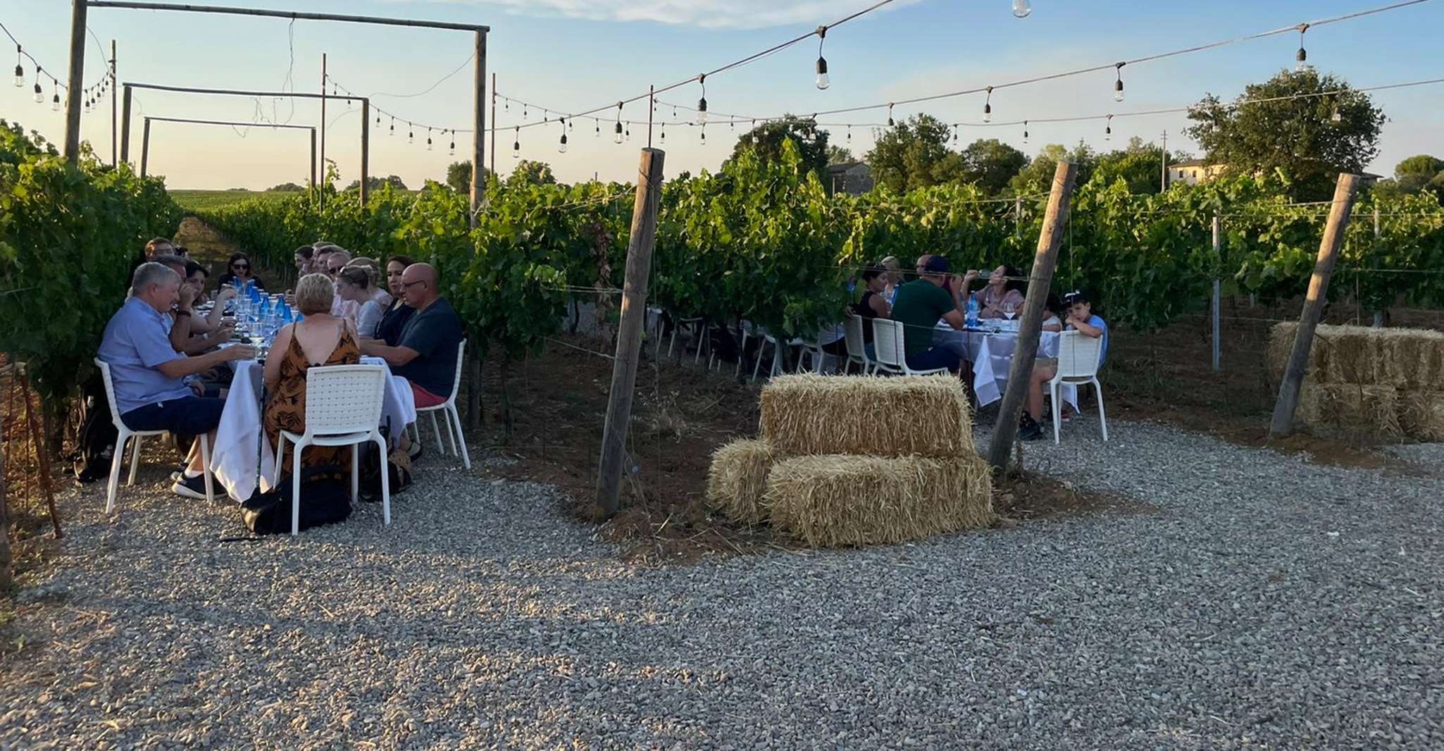 Florence: Chianti Vineyards Tour with Wine Tasting & Dinner photo 12