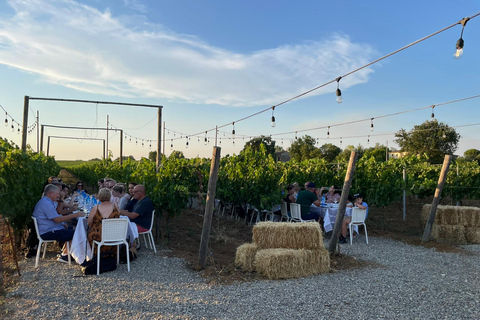 Wine Tasting and Dinner in the Vineyards of Chianti Tour in Italian