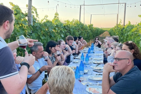 Wine Tasting and Dinner in the Vineyards of Chianti Tour in Spanish