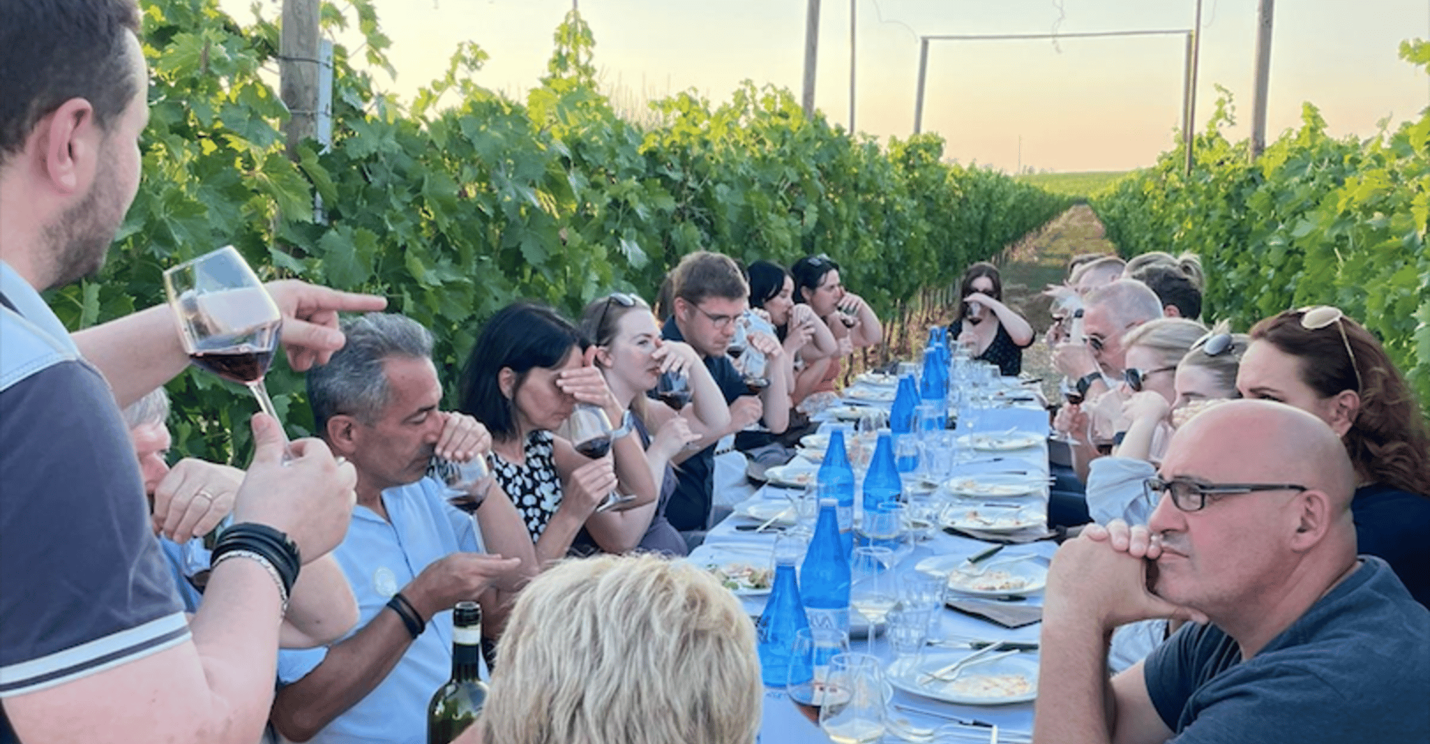 Buranın yakınındaki restoranlar: Siena/Chianti, Dinner & Drinks in the Chianti Vineyards - Hizvo