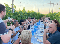 Von Siena/Chianti, Abendessen & Getränke in den Chianti Weinbergen - Hizvo