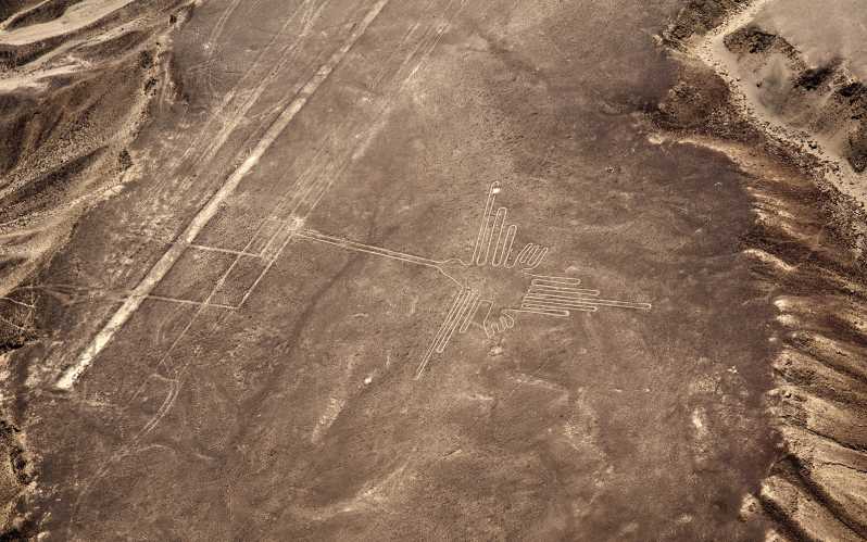 From Pisco or Paracas: Nazca Lines Flight