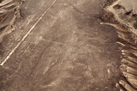 Depuis Pisco ou Paracas : vol sur les lignes de NazcaDepuis Pisco ou Paracas : vol vers les lignes de Nazca