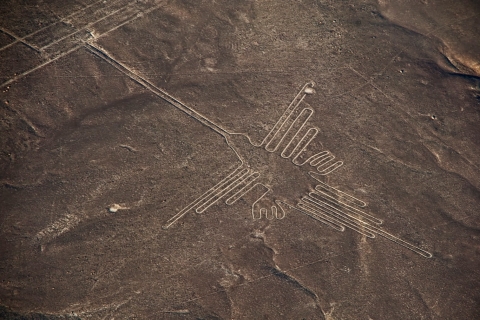 Depuis Pisco ou Paracas : vol sur les lignes de NazcaDepuis Pisco ou Paracas : vol vers les lignes de Nazca