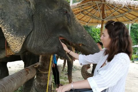 Краби: купание слонов и однодневная поездка к водопаду Хуай Тхо