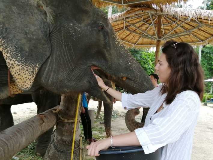 Krabi: bañamiento de elefantes y huay tho Waterfall Day Trip
