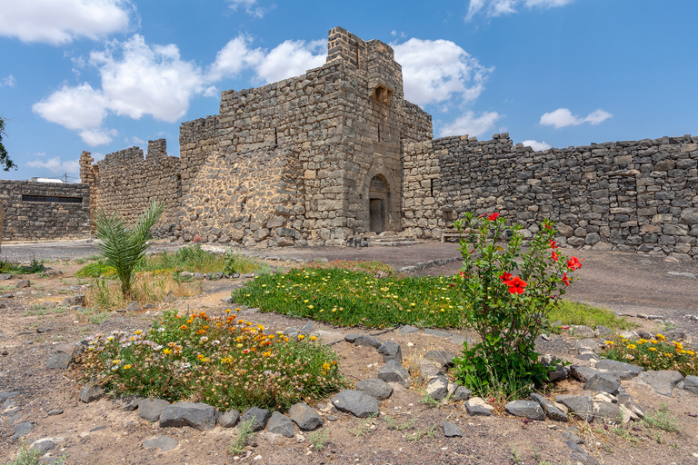 Från Amman: Umayyad Desert Castles Tour med transfer