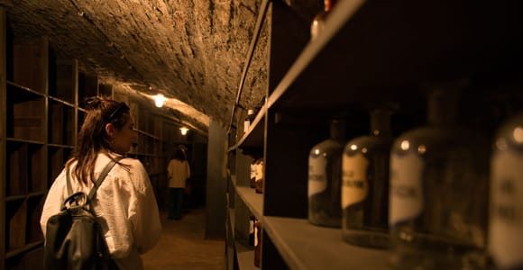 Vienna: Historical Pharmacy Cellar Guided Tour