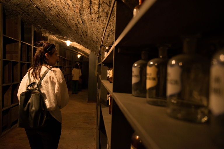 Viena: Visita guiada à adega histórica da farmáciaVisita guiada em alemão