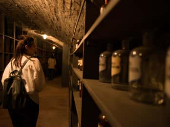 Vienna: Historical Pharmacy Cellar Guided Tour