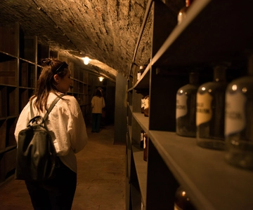 Vienna: Historical Pharmacy Cellar Guided Tour