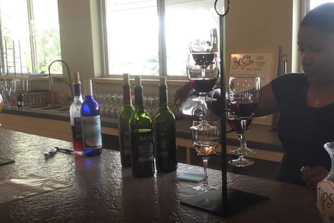 Niagara, USA: Winery Tour and Tasting