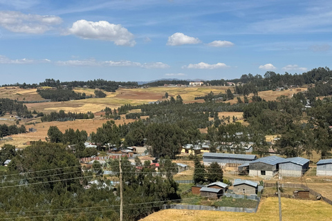 Addis Ababa: 14-Day Adventure and Nature Tour(customizable)