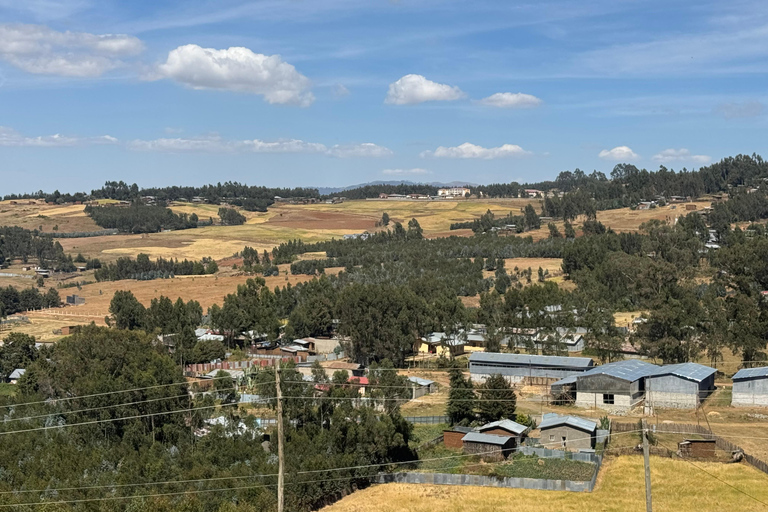 Addis Ababa: 14-Day Adventure and Nature Tour(customizable)