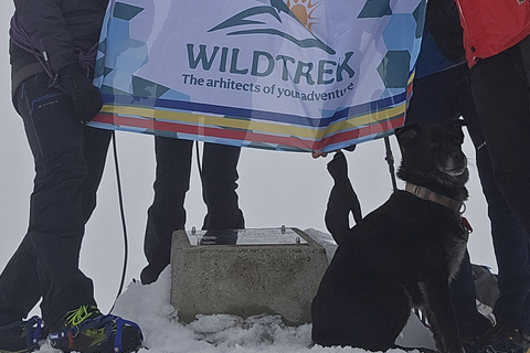 Brasov: Malaiesti Mountain Hut Guided Hike