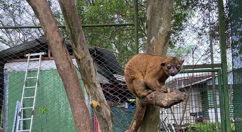 San Jose: Animal Rescue Center Entry with Guided Tour | GetYourGuide