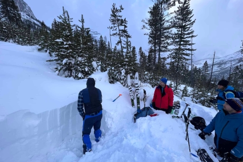 Banff : cours de 2 jours sur les techniques d'avalanche de niveau 1 et certificatOption publique