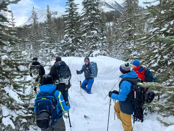 Banff 2Day Level 1 Avalanche Skills Course and Certificate GetYourGuide