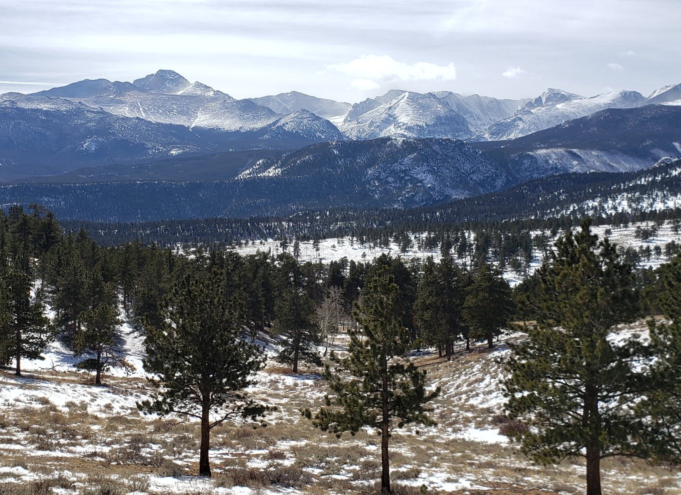 Fra Denver: Rocky Mountain National Park vinter/forårstur