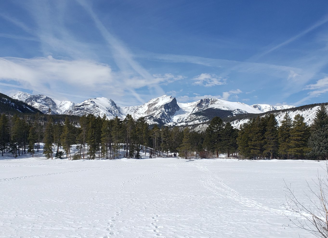 Fra Denver: Rocky Mountain National Park vinter/forårstur