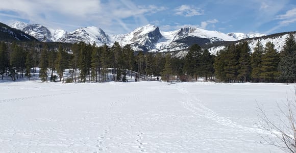 Von Denver aus: Rocky Mountain National Park Winter/Frühjahrstour