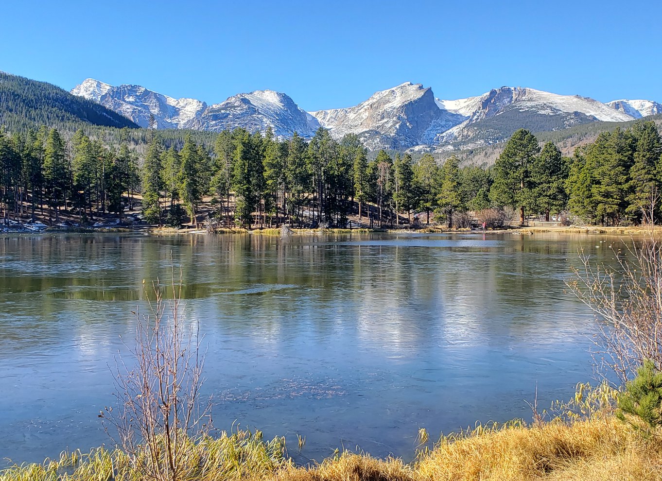 Fra Denver: Rocky Mountain National Park vinter/forårstur