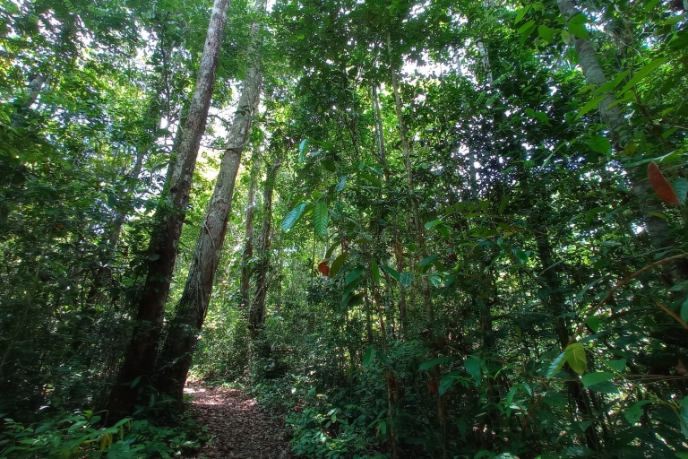 Iquitos: tour de vida silvestre de la Reserva Nacional Allpahuayo-Mishana