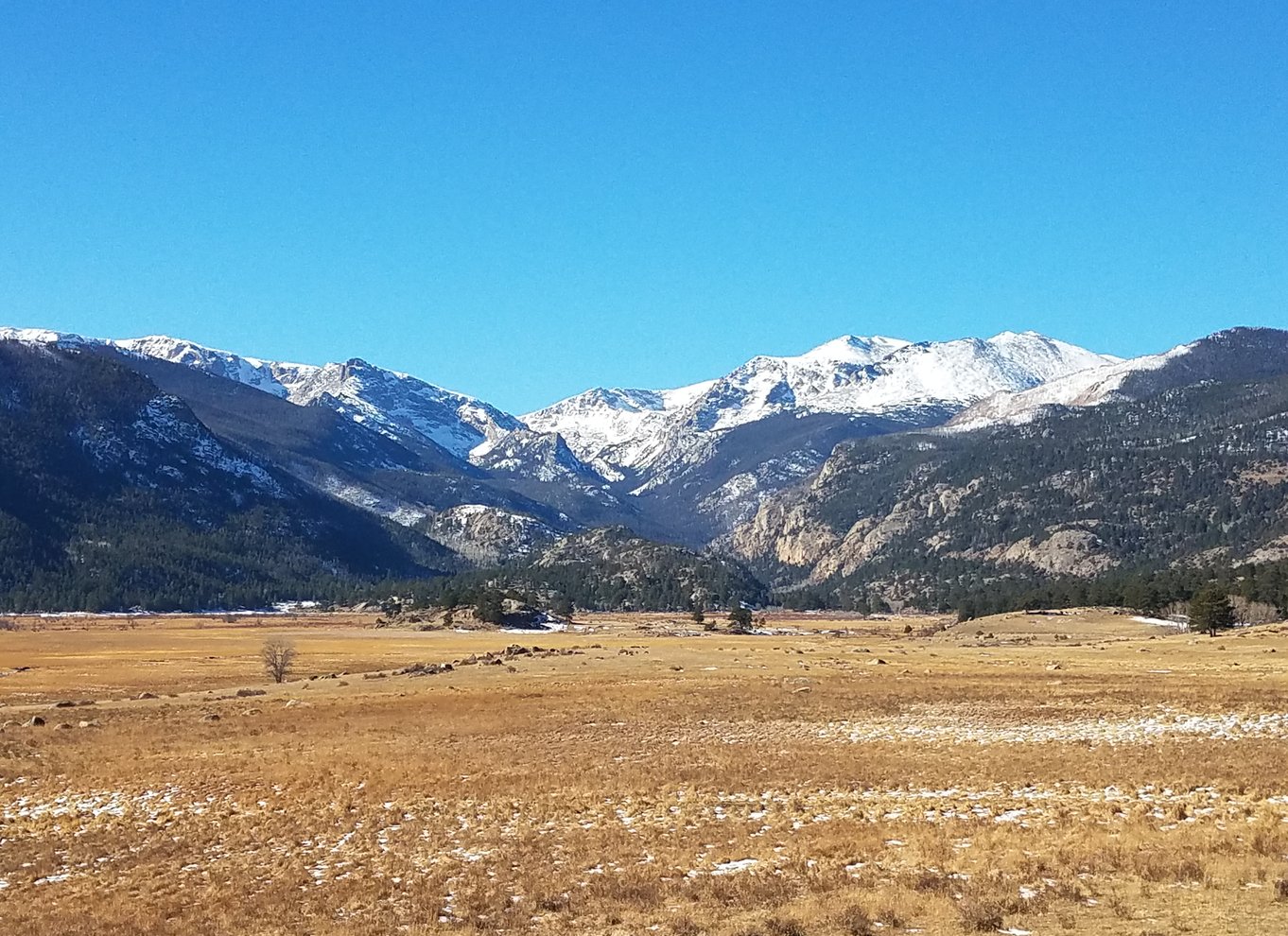 Fra Denver: Rocky Mountain National Park vinter/forårstur