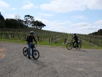 McLaren Vale: E-Bike Rental to Explore the Vineyards