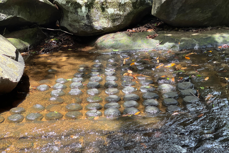 Hidden Gems of Cambodia: Kbal Spean and Banteay Srei Temple