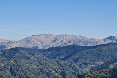 Estepona: tour escursionistico guidato della Sierra Bermeja