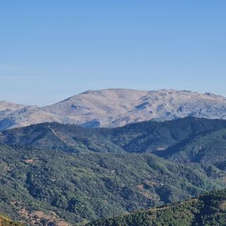 Estepona: Sierra Bermeja Guided Hiking Tour