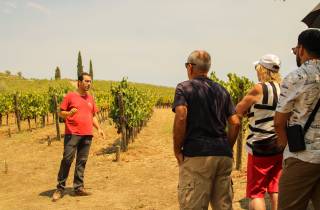 Douro-Tal: Tour mit Weinverkostung, Kreuzfahrt und Mittagessen