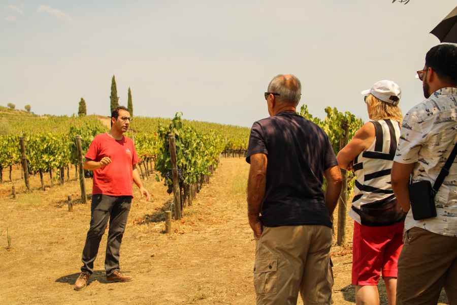 Douro-Tal: Tour mit Weinverkostung, Bootsfahrt & Mittagessen