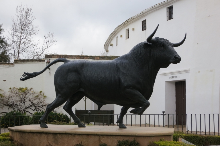 Z Malagi: prywatna wycieczka z przewodnikiem Ronda i wejście na arenę byków