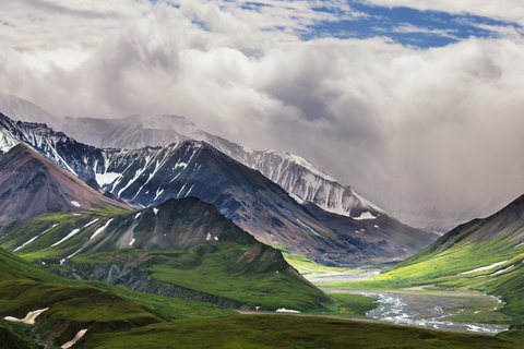 Alaska: Kenai Fjords & Denali National Park 5 Day Adventure Triple Occupancy Room