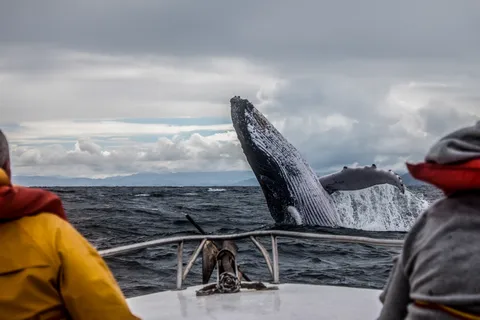Anchorage: Kenai Fjords & Denali National Park 5 Day Tour