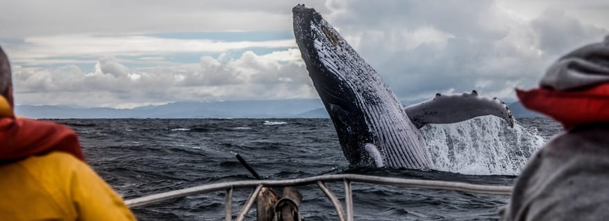 Alaska : Fjords de Kenai et parc national de Denali, aventure de 5 jours